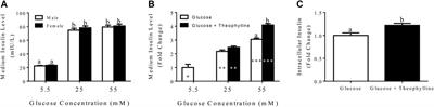 Feline Adipose Derived Multipotent Stromal Cell Transdifferentiation Into Functional Insulin Producing Cell Clusters